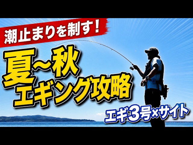 秋イカ開幕戦】高活性な個体をサイトで狙い撃つ！エギ3号で攻め抜く夏