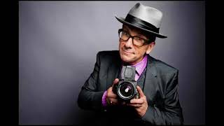 Elvis Costello - The Other Side Of Summer (Live) Audio Only