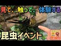 【昆虫イベント】ササシマ昆虫ワールドで色んなクワカブと触れ合ってみた
