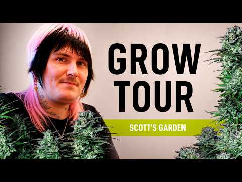 San Francisco Home Grow 🌱 Scott’s Garden & True Community Vibes