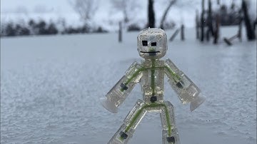 Introducing the Snow