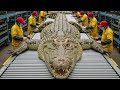 Inside Crocodile Leather Factory – How Top-Grade Skins Are Selected for Luxury Brands (Full Process)