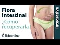 Cómo recuperar y mejorar nuestra flora intestinal