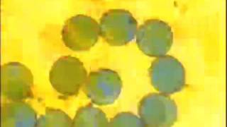 Four Tet  "A Joy"