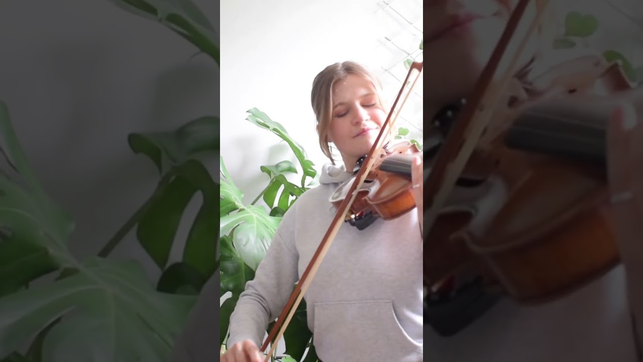 Watch #harpcover #violincover #instrumental #music #harpplayer #violinmusic #cover #stargazing on YouTube Watch #harpcover #violincover #instrumental #music #harpplayer #violinmusic #cover #stargazing on YouTube
