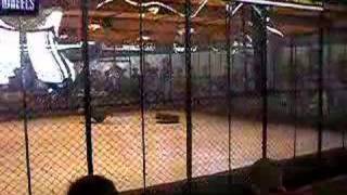 Phrizbee vs. Compressor