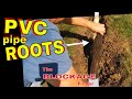 DIY Remove PVC Pipe ROOTS DOWNSPOUT DRAIN Pipe - BLOCKAGE FINDER Tree Roots pvc pipe repair