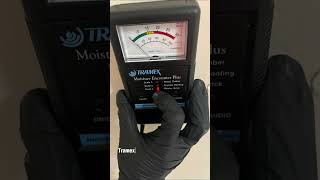 Does Mould Die During Winter? #shorts  #mouldremediation #eliterestoration #elite