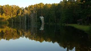Beaver vs Tannerite