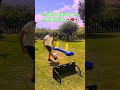Esercizio tecnico con skill e tiro finale in porta #esercitazione #skill #tiro #calcio #shortsviral
