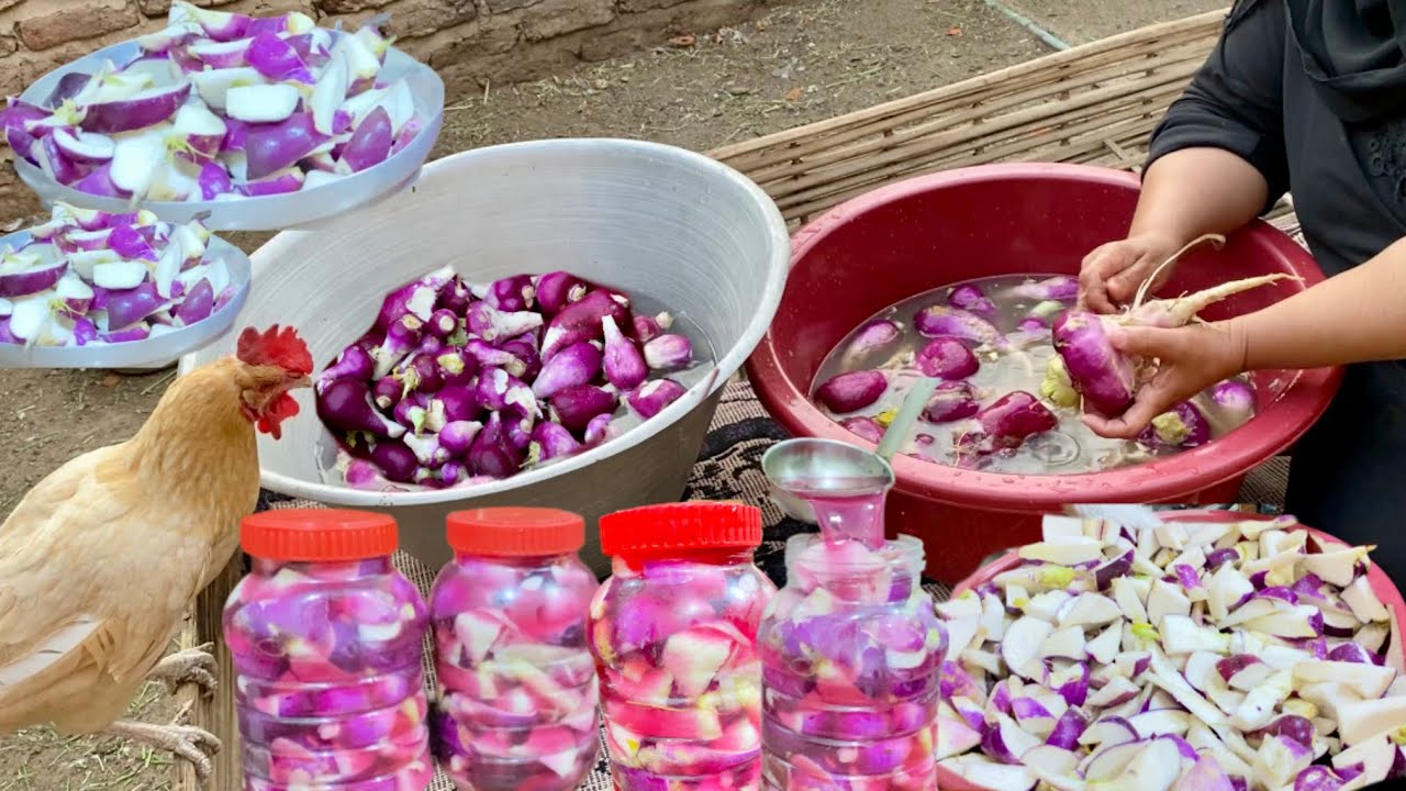 #مخلل_اللفت من غير مايجلد ولا يتهرى منك مقرمش ولا غلطه لرمضان 