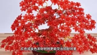 发财树摆放在财位的讲究