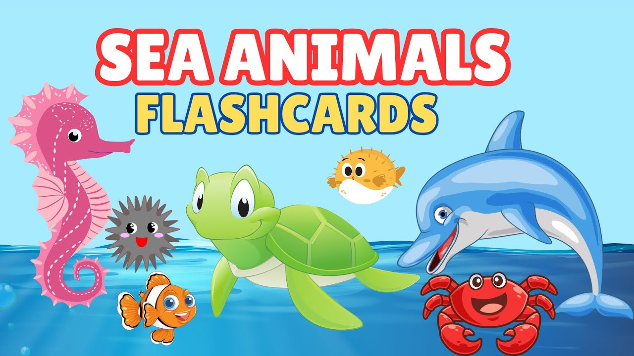 Early Learning Sea Animal Flashcards for Toddlers & Kids | Educational Video for Kids & Toddlers