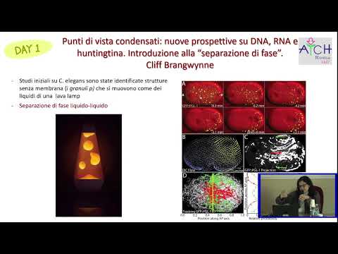 Video Dr.sa Simona Petrucci, Genetista presso il dipartimento di Genetica medica e Diagnostica Sant'Andrea