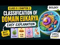 Classification of Domain Eukarya | Class 9 Biology Chapter 2 Easy Explanation 🌱