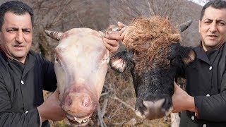 Resep sup Khash tradisional | Sup Kepala Sapi | Masakan Paçe yang lezat | Resep Wilderness Cowhead