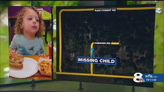 'Not ruling anything out': Missing Child Alert issued for Brooksville toddler who wandered away from