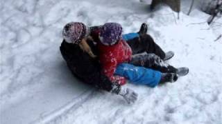 Bild 555