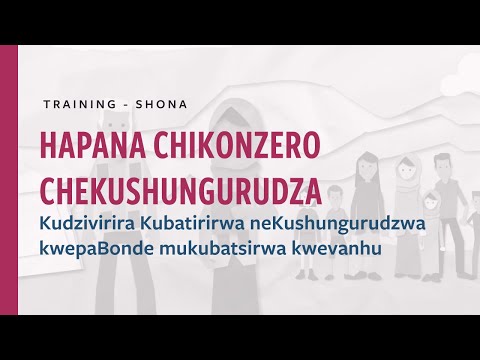 PSEA Training Hapana Chikonzero Chekushungurudza