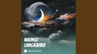 Naungi Langkahku