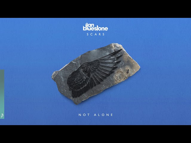 Ilan Bluestone - Not Alone