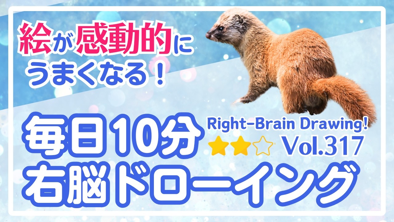 毎日10分右脳ドローイング317！おこじょ＆イタチを描こう！〜10-Minute Daily Right-Brain Drawing! Let's Draw a weasel!