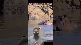 Buffalo Calf vs Hyenas.. Saved by a Hippo! #trending #animals #wildlife#hyena #hippo #buffalo #short