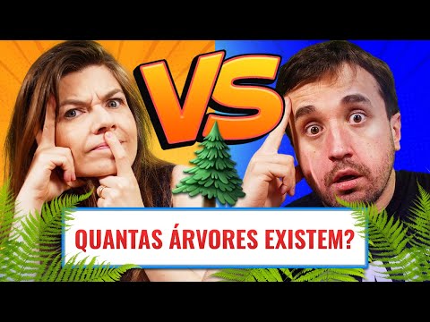 Vídeo: Quantos 7 onze existem no mundo?