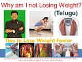 Why am i not losing weight  tips to lose weight faster telugu