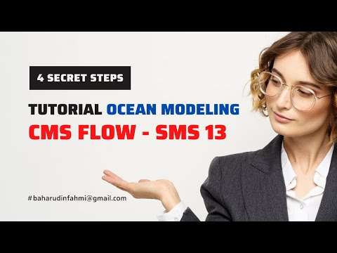 Tutorial CMS Flow Model Setup