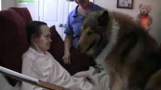 Hospice Pet Therapy