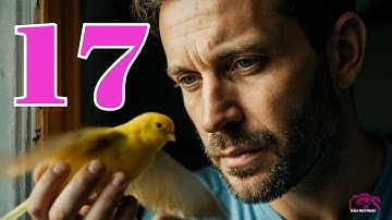 New Eritrean Audio book video እቲ ዘይሩጉእ እዋን- ምዕራፍ 17