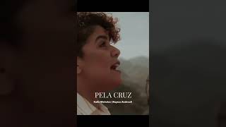 Pela cruz