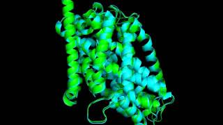 My First Pymol Movie (3F3E & 3F3A Protein Alignment)