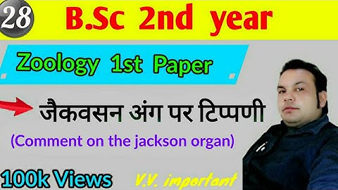 Commentary on jacobson organ, B.Sc 2nd year | Zoology 1st paper, Paper Hacker