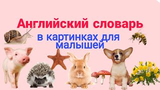Английский детям. Английский словарь для малышей в картинках. English for kids. Английский детям. Английский словарь для малышей в картинках. English for kids.