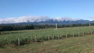 MOV 0935
