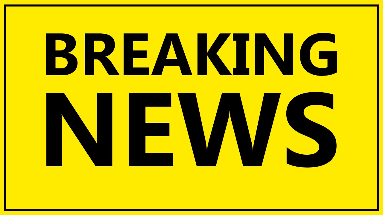 World’s first cloned camel delivers a calf