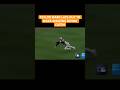 TAYLOR WARD LAYS OUT TO MAKE AMAZING DIVING CATCH