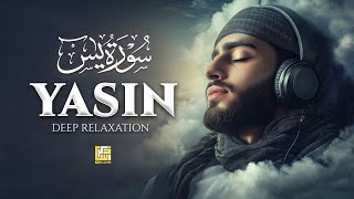 Download Lagu Surah Yaseen (Yasin) سورة يس | Sleep with Lofi Quran for Anxiety Relief \u0026 Deep Sleep #quranlofi MP3