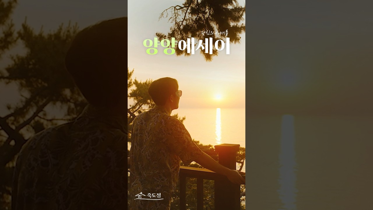 [고고양양] 양양에SAY #양양 #죽도정 #shorts