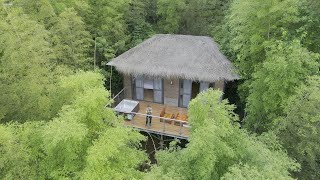 江西赣州虔心小镇，住进竹林半山木屋，就像走进童话世界