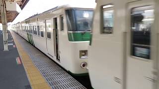 185系特急踊り子 小田原駅到着 JR East Limited Express "Odoriko"