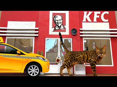 Видео: ЕСЛИ БЫ КОТИКИ РАБОТАЛИ В KFC