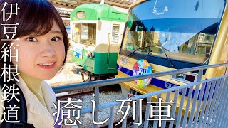 【伊豆箱根鉄道】お得に癒しの紅葉狩り