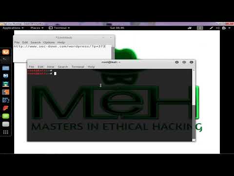 Best Way To Find Bugs In Any Website ?