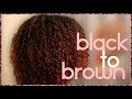 BLACK TO BROWN : HOW TO DYE NATURAL HAIR | CREME OF NATURE | MORGAN ARIEL HENRY