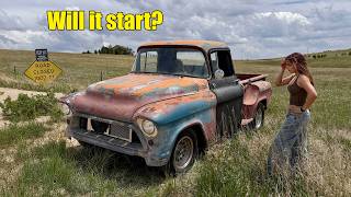 I found my 1957 shortbed on a farm and bought it (searched for years)