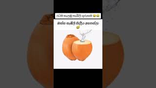 Thabili Kapuwa Thabili Gurukama Thambili Sri Lanka