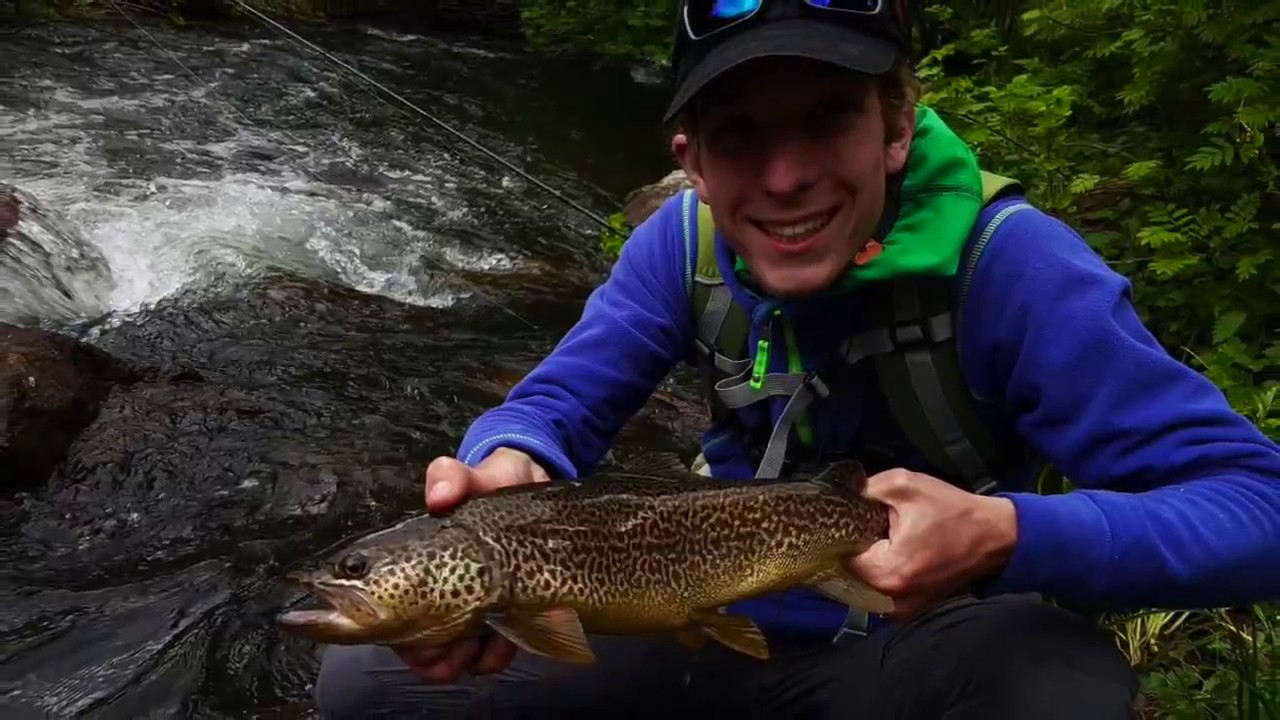 Brook Fishing in South Tyrol Ryuki Time YouTube